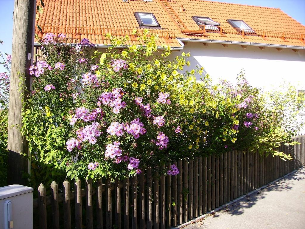 Wiflinger Graben Einfamilienhaus Βίλα Wörth Εξωτερικό φωτογραφία