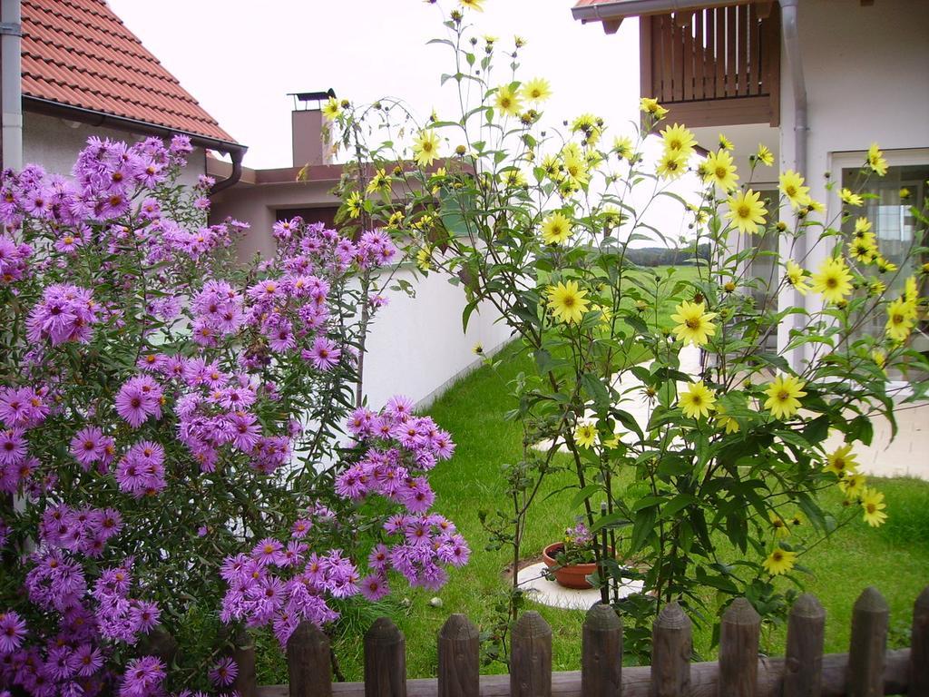 Wiflinger Graben Einfamilienhaus Βίλα Wörth Εξωτερικό φωτογραφία