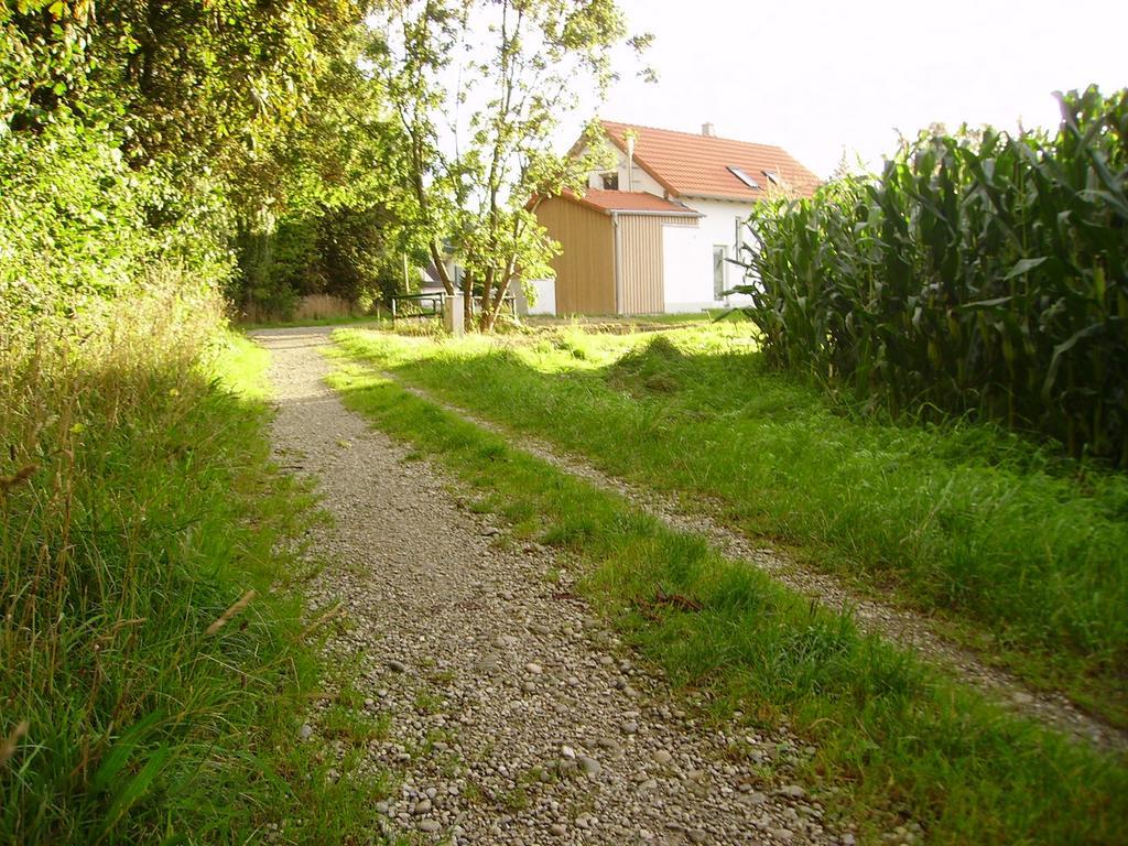 Wiflinger Graben Einfamilienhaus Βίλα Wörth Εξωτερικό φωτογραφία